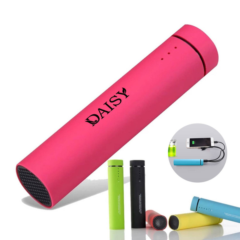 Portable multifunction speaker power bank