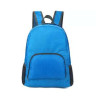 Lightweight Foldable Backpack