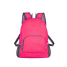 Lightweight Foldable Backpack