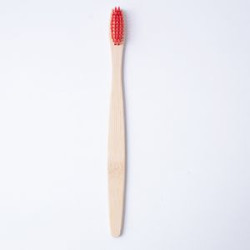 Bamboo Toothbrush