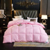 Lightweight Goose Feathers Down Comforter Duvet