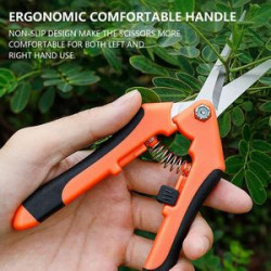 Straight Stainless Steel Blade Gardening Scissors