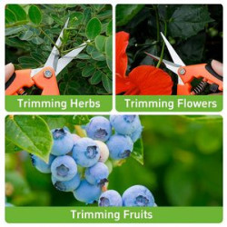 Straight Stainless Steel Blade Gardening Scissors