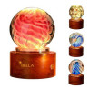 Crystal Trophy Award