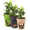 Potato Planting Bag
