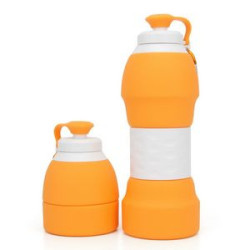 19 oz Collapsible Portable Water Bottle