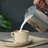 12Oz Stainless Steel Pointed Spout Frother
