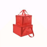 Eco Friendly Non Woven Disposable Grocery Bag