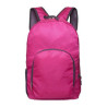 Waterproof Folding Backpack