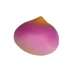 Vegetable Pu Stress Reliever