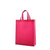 Non-Woven Shopping Bag
