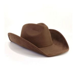 Western Cowboy Hat With Sponge