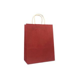 Paper Brown Shopping Bag with Handle