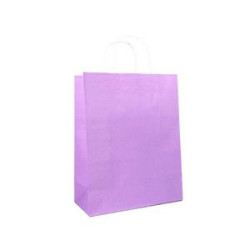 Paper Brown Shopping Bag with Handle