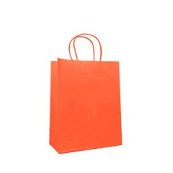 Paper Brown Shopping Bag with Handle
