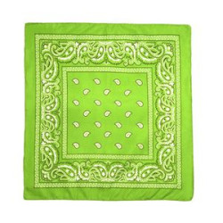 Paisley Print Head Wrap Scarf