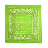 Paisley Print Head Wrap Scarf