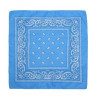 Paisley Print Head Wrap Scarf