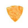 Guitar Pick