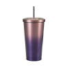 Insulated Stainless Steel Water Bottles with Straw 20 Oz