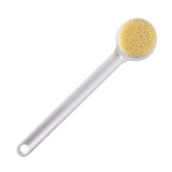 Shower Brush