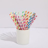 Individually Wrapped Paper Straws