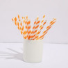 Individually Wrapped Paper Straws