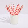 Individually Wrapped Paper Straws