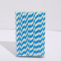 Individually Wrapped Paper Straws