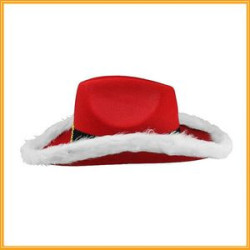 Santa Claus Christmas Hat, White Light Fur Trim