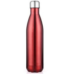 17OZ Insulated Water Bottle Stainless Steel Double Thermal
