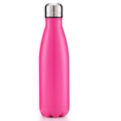 17OZ Insulated Water Bottle Stainless Steel Double Thermal