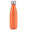 17OZ Insulated Water Bottle Stainless Steel Double Thermal