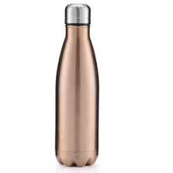 17OZ Insulated Water Bottle Stainless Steel Double Thermal
