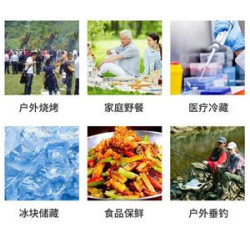 20L Car Refrigerator Incubator