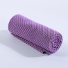 Ice Sport Cooling Towel