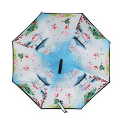 Inverted Umbrella