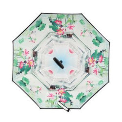 Inverted Umbrella