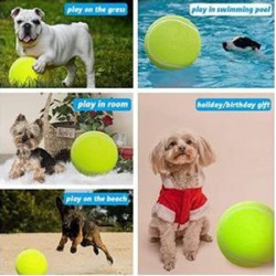 Large Tennis Ball Doggie Puzzle Toys