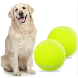 Large Tennis Ball Doggie Puzzle Toys