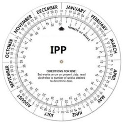 Plastic Date Finder Wheel Calculator