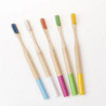 Round Toothbrushes