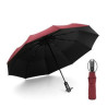 Auto Open & Close Travel Umbrella Windproof