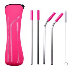 Reusable Stainless Steel Drinking Straws Set With Neoprene Pouch