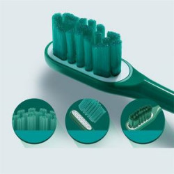 Adult ultrasonic electric toothbrush
