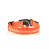 Dog Collar USB Rechargeable