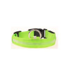 Dog Collar USB Rechargeable