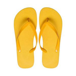 Beach Summer Flip Flops