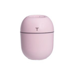 Facial Sprayer