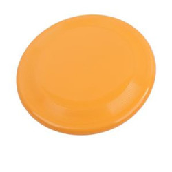 9" Flyer